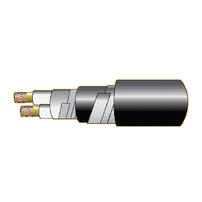 Cáp chống cháy theo BS 6387, 0.6/1(1.2)kV, ruột đồng, 2 lõi, cách điện XLPE, giáp sợi thép mạ kẽm ( hoặc 2 lớp băng thép )